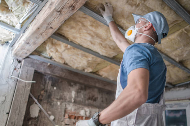 Best Spray Foam Insulation in Douglas, WY