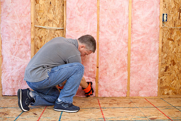 Best Fiberglass Insulation in Douglas, WY